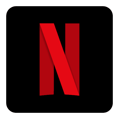 Netflix Personal Profile 3 Month