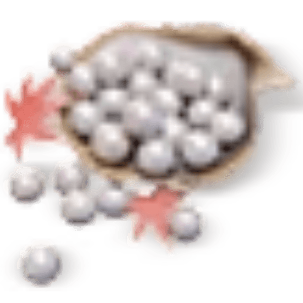 6000 Echo Beads