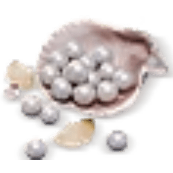1800 Echo Beads
